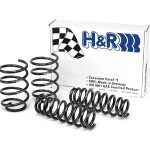 accent-9599-springs-hr